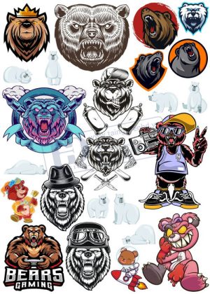 Bear, Vector Con Gấu 59