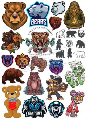 Bear, Vector Con Gấu 61