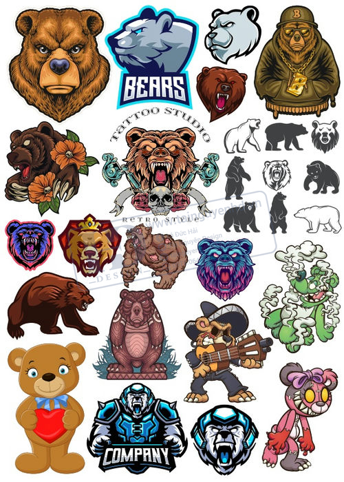 Bear, Vector Con Gấu 61