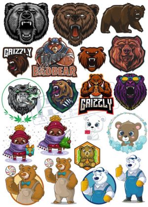 Bear, Vector Con Gấu 64
