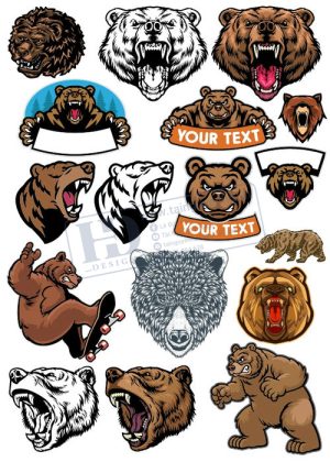 Bear, Vector Con Gấu 68