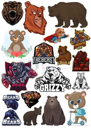 Bear, Vector Con Gấu 69