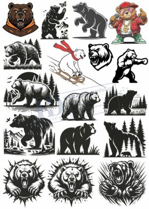 Bear, Vector Con Gấu 7