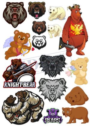 Bear, Vector Con Gấu 74