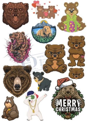 Bear, Vector Con Gấu 77