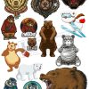 Bear, Vector Con Gấu 79