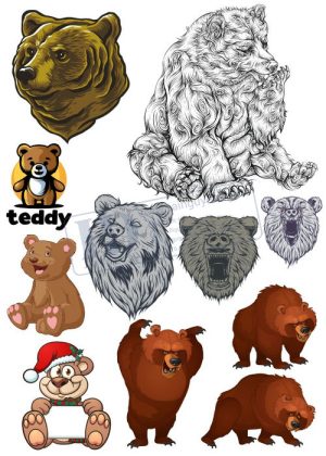 Bear, Vector Con Gấu 81