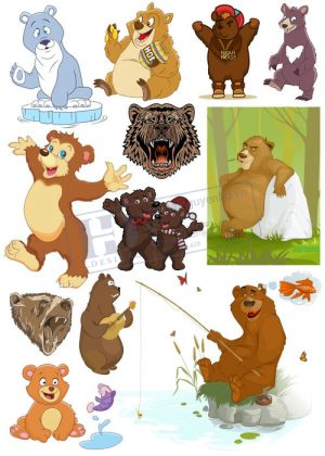Bear, Vector Con Gấu 82