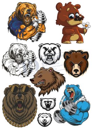 Bear, Vector Con Gấu 84