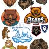 Bear, Vector Con Gấu 85