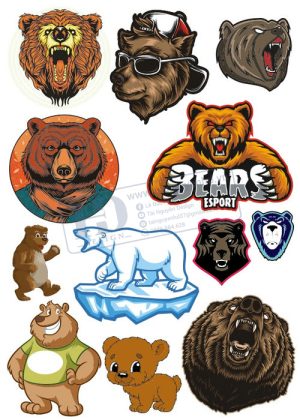 Bear, Vector Con Gấu 85