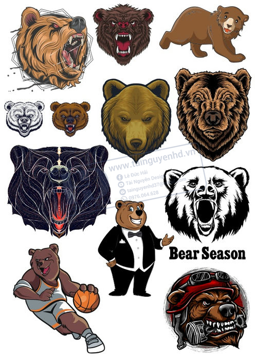 Bear, Vector Con Gấu 87