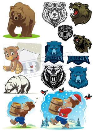 Bear, Vector Con Gấu 89