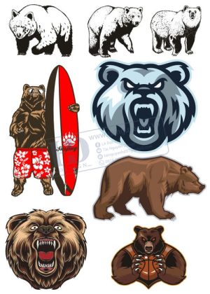 Bear, Vector Con Gấu 91