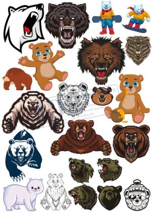 Bear, Vector Con Gấu 92