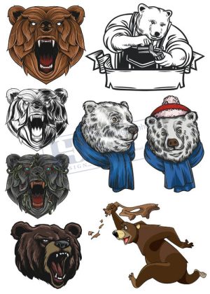 Bear, Vector Con Gấu 93
