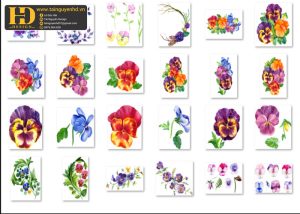 Bông Hoa Tách Nền, Flower PNG 1