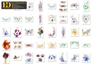 Bông Hoa Tách Nền, Flower PNG 10