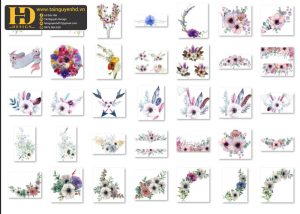 Bông Hoa Tách Nền, Flower PNG 11