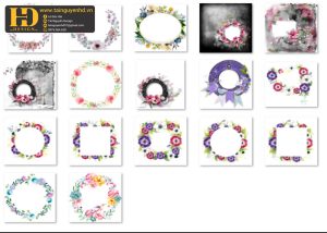 Bông Hoa Tách Nền, Flower PNG 15