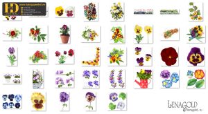 Bông Hoa Tách Nền, Flower PNG