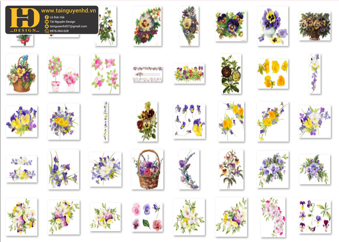 Bông Hoa Tách Nền, Flower PNG 2
