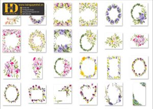 Bông Hoa Tách Nền, Flower PNG 4