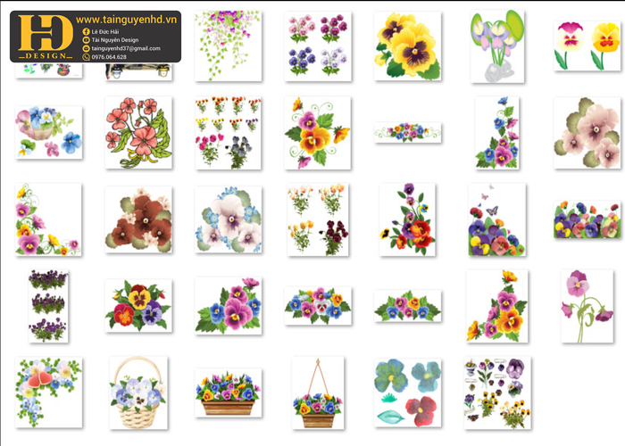 Bông Hoa Tách Nền, Flower PNG 6