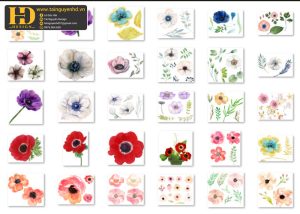 Bông Hoa Tách Nền, Flower PNG 7