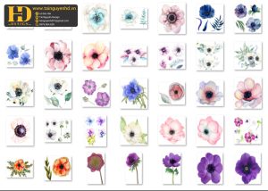 Bông Hoa Tách Nền, Flower PNG 8