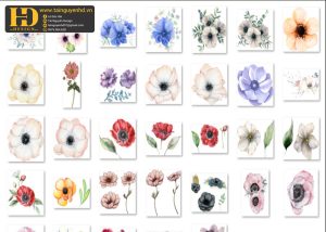 Bông Hoa Tách Nền, Flower PNG 9