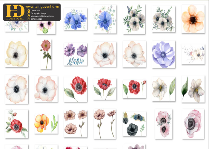 Bông Hoa Tách Nền, Flower PNG 9