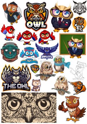 Brid, Con Chim, Vector Con Chim Tổng Hợp (1)