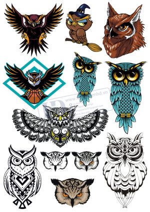 Brid, Con Chim, Vector Con Chim Tổng Hợp (13)
