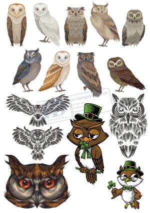 Brid, Con Chim, Vector Con Chim Tổng Hợp (15)