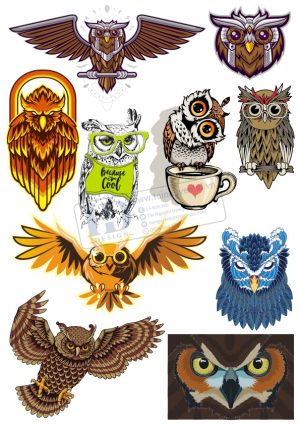Brid, Con Chim, Vector Con Chim Tổng Hợp (16)