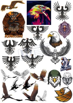 Brid, Con Chim, Vector Con Chim Tổng Hợp (19)