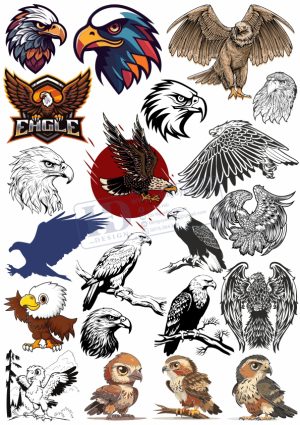 Brid, Con Chim, Vector Con Chim Tổng Hợp (20)
