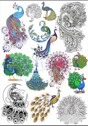 Brid, Con Chim, Vector Con Chim Tổng Hợp (21)