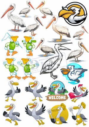Brid, Con Chim, Vector Con Chim Tổng Hợp (22)