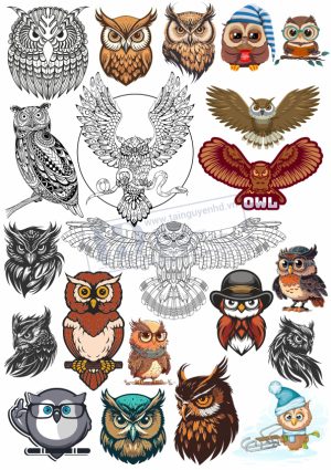 Brid, Con Chim, Vector Con Chim Tổng Hợp (4)