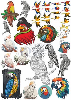 Brid, Con Chim, Vector Con Chim Tổng Hợp (7)