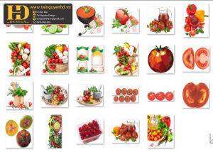Cà Chua, Quả Cà Chua Tách Nền, Tomato PNG 3