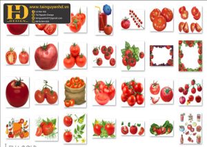 Cà Chua, Quả Cà Chua Tách Nền, Tomato PNG 5