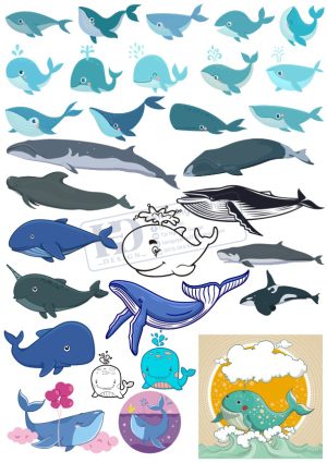 Cá Voi Xanh, Tổng Hợp Vector Cá Voi