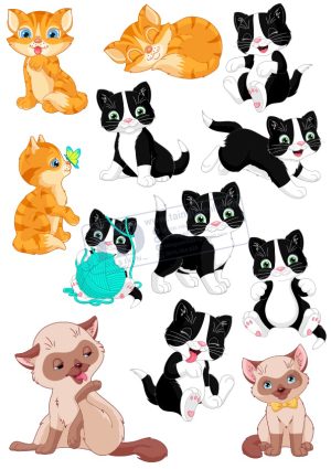Cat, Con Mèo, Vector Con Mèo (8)