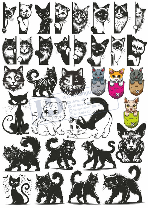 Cats, Vector Con Mèo, Con Mèo 21