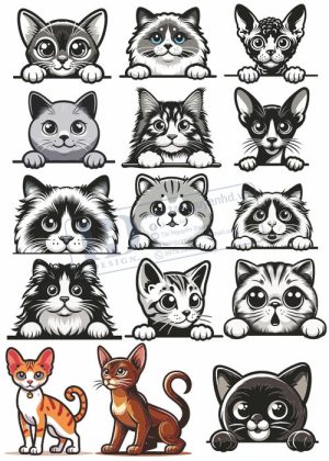 Cats, Vector Con Mèo, Con Mèo 26