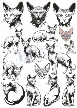 Cats, Vector Con Mèo, Con Mèo