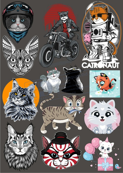Cats, Vector Con Mèo, Con Mèo 47